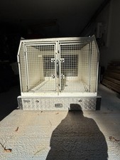 lintran dog for sale  ROBERTSBRIDGE