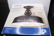 Progress lighting ceiling for sale  Chillicothe