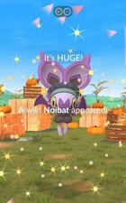 🪽🐲🦇 1x Faixa de Cabeça XXL Halloween Noibat Trade 🔄 Vitrine Pokémon Go🥇 comprar usado 🪽🐲🦇 1x Faixa de Cabeça XXL Halloween Noibat Trade 🔄 Vitrine Pokémon Go🥇 comprar usado  Enviando para Brazil