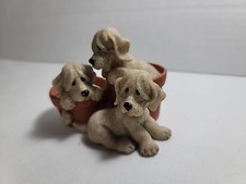 Quarry critters pit for sale  Burton