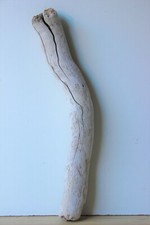 Treibholz schwemmholz driftwoo gebraucht kaufen  Halblech