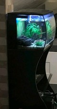 Fluval flex nano gebraucht kaufen  Otterberg