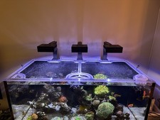 red sea reefer for sale red sea reefer for sale Chicago