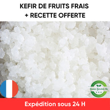 Kit démarrage kéfir d'occasion Kit démarrage kéfir d'occasion  Metz-