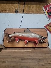 Beautiful arctic char for sale  Saint Joseph