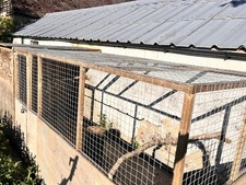 Aviary 16ft 7ft for sale  HIGH WYCOMBE