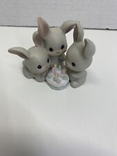 adult meat rabbits for sale adult meat rabbits for sale Dyer