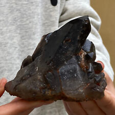 1,17 lb Curación de racimos de cristal negro natural y especímenes minerales florales segunda mano  Embacar hacia Mexico