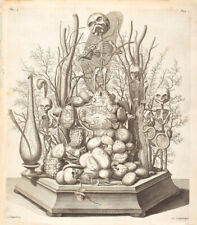 Curiosity cabinet poster d'occasion  Expédié en Belgium