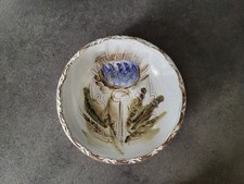 Ancienne assiettes coupes d'occasion  Mouvaux