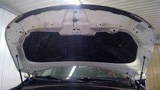 Hood fits sorento for sale  Mondovi