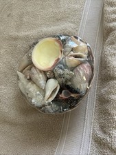 Seashells philippines wicker for sale  Greer