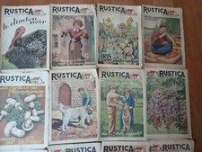 Rustica 1950 1955 d'occasion  Esbly