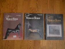 Morgan horse lot for sale  Golden