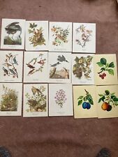 Vintage lot audubon for sale  Auburn