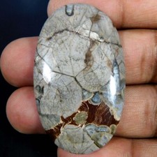 Atacado 42,25 ct. Pedra preciosa cabochão oval natural lindo cogumelo riolito comprar usado  Enviando para Brazil