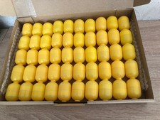 Leere kapseln gelb gebraucht kaufen Leere kapseln gelb gebraucht kaufen  Lichtenau