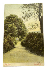 Bog lane longton for sale  LANARK