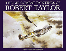 Air combat paintings for sale  UK