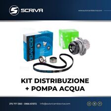Kit distribuzione pompa usato  Taurianova