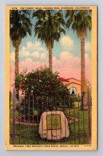 Riverside california parent for sale  USA