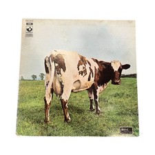 Vinile pink floyd usato  Torino