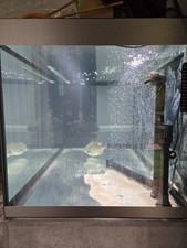 Fluval siena aquarium for sale  SLEAFORD