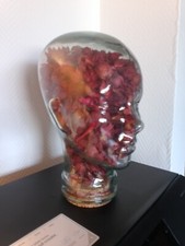 Tête chapeau verre d'occasion  Sedan