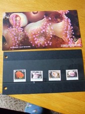 live coral for sale live coral for sale NANTWICH