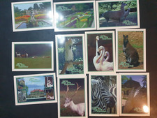 Lotto cartoline parco usato  Candelo