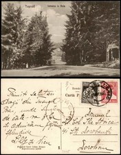 Postcard bad tuschnad gebraucht kaufen  Ortrand