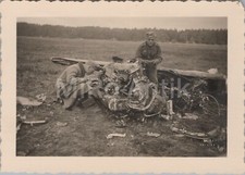 Zdjęcie, Wk2, polski wrak samolotu Kielce Polska 1939 XT55202, używany na sprzedaż  Wysyłka do Poland