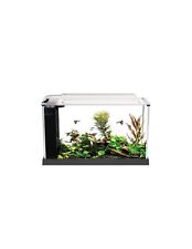 Acquario askoll fluval usato  Montesilvano