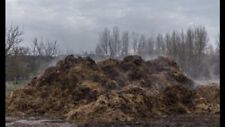 Cattle manure for sale  RUTHIN