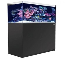 Red sea reefer for sale  WIRRAL