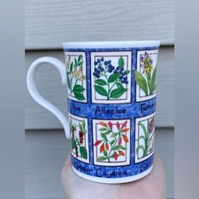Herb plant golden for sale  Winchester