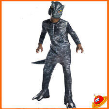 Costume carnevale bambino usato  Conegliano