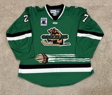 Utah grizzlies game for sale  Merchantville