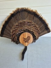 Vintage taxidermy turkey for sale  Marshfield