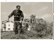 1954 roncole busseto usato  Milano