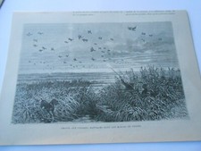 Gravure 1885 chasse d'occasion  La Verpillière