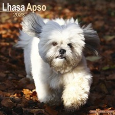 Calendrier 2023 lhassa d'occasion  Troyes