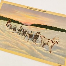 Postcard alaskan husky for sale  Star