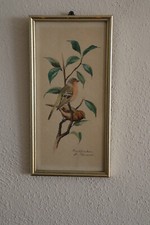 Bild vogelmotiv buchfinker gebraucht kaufen  Erlangen