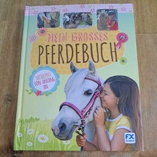Großes pferdebuch buch gebraucht kaufen  Ayl, Trassem, Wellen