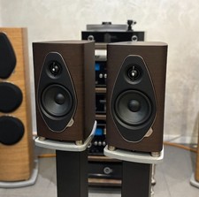 Sonus faber sonetto usato  Italia