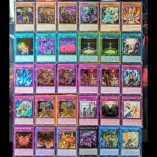 Yugioh Eldlich Deck Core (42 cards) - Alliance Insight (ALIN) - QUASE PERFEITO comprar usado  Enviando para Brazil