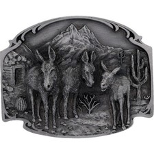 New southwest donkey for sale New southwest donkey for sale  Evanston