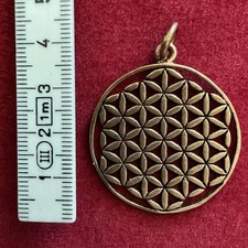 Lebensblume blume lebens gebraucht kaufen  Neukirchen b.Sulzbach-Rosenberg