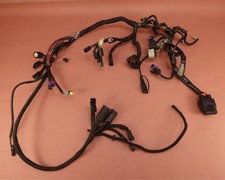 2009-2021 Harley Davidson ferro 883 XL883N chicote de fios principal tear de fios comprar usado  Enviando para Brazil
